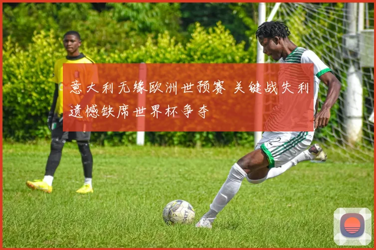 意大利无缘欧洲世预赛 关键战失利遗憾缺席世界杯争夺