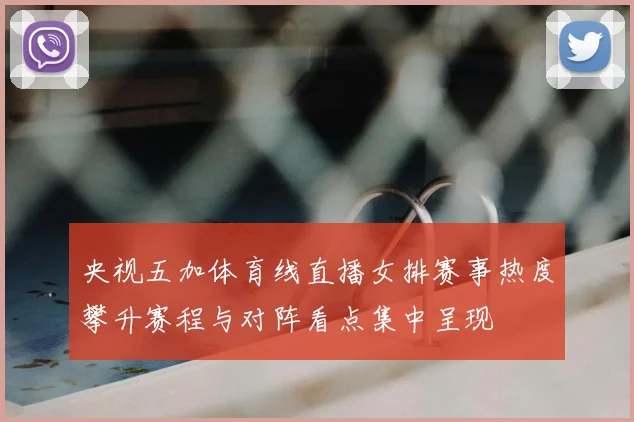 央视五加体育线直播女排赛事热度攀升赛程与对阵看点集中呈现
