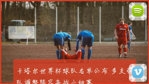 卡塔尔世界杯球队名单公布 多支强队调整阵容备战小组赛